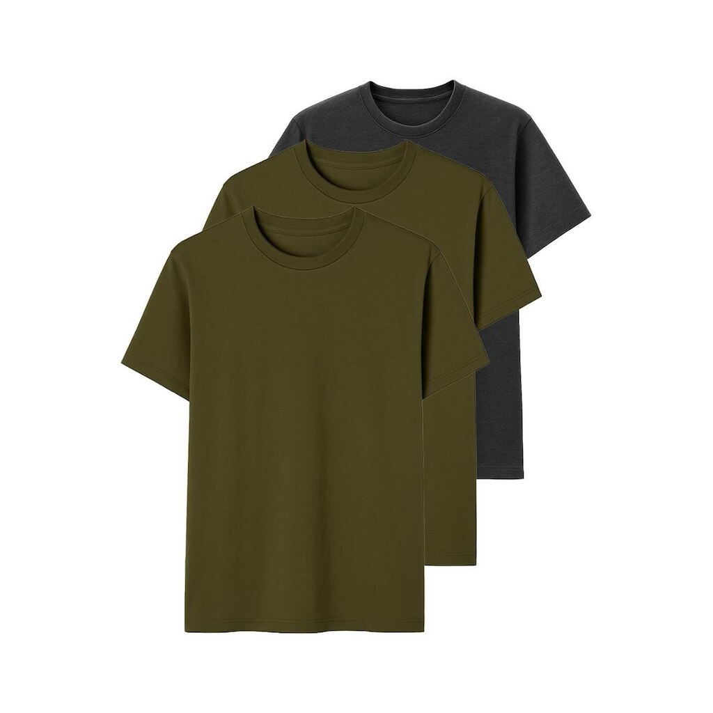 Kit com 3 Camisetas Masculina Hering 227