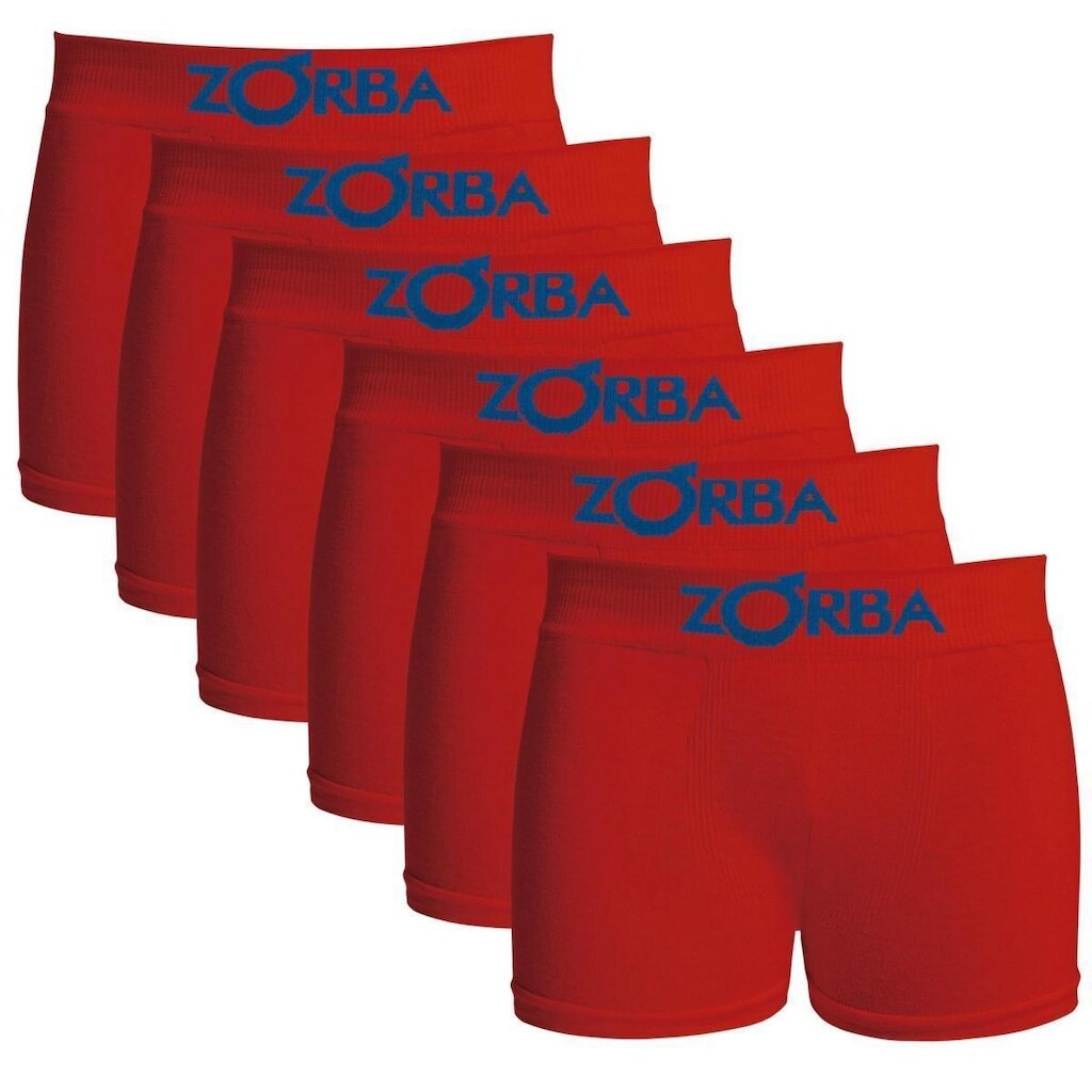 Kit com 6 Cuecas Zorba Boxer Algodão Sem Costura Infantil 678
