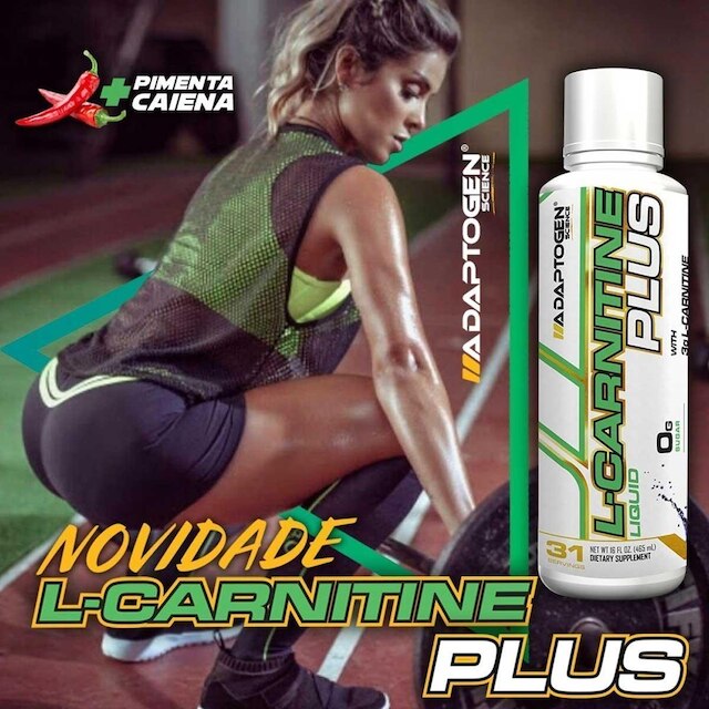 l carnitine trying to get pregnant Carnitine traffic and human fertility