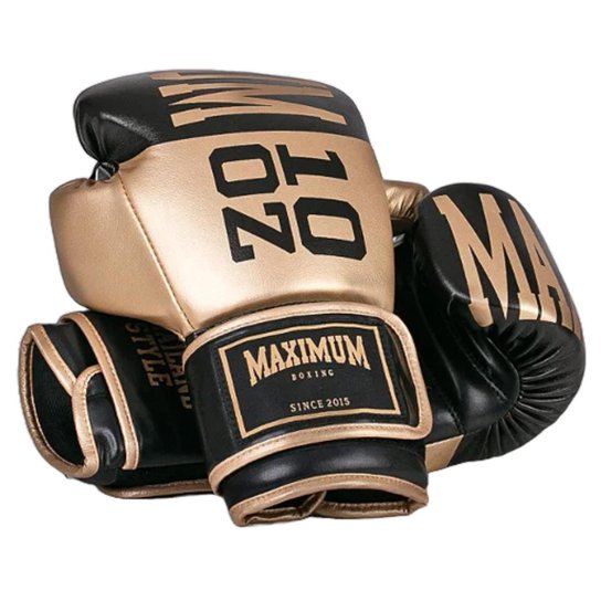 Luva Boxe Muay Thai Intermediária Training Power Face Maximum