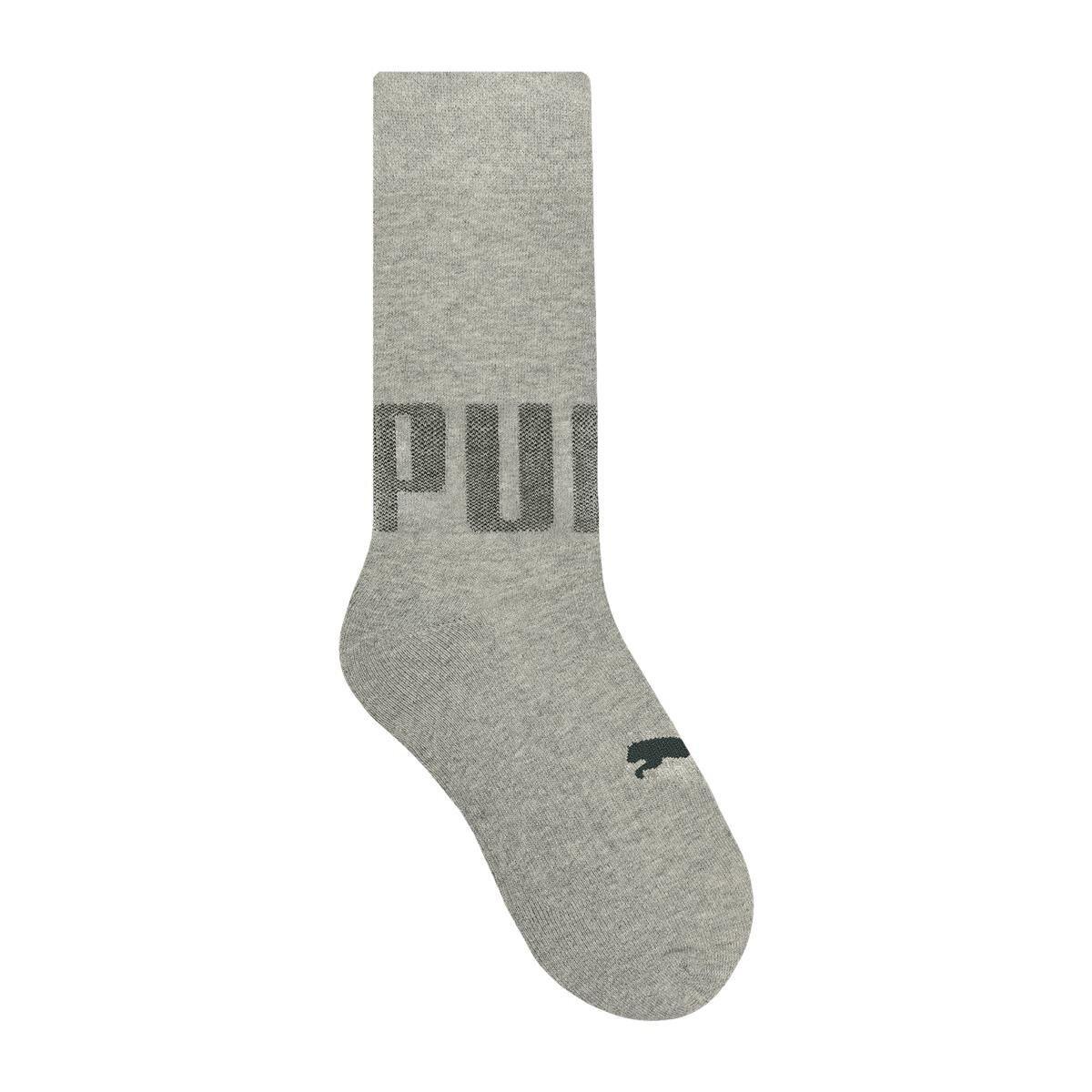 puma cano longo