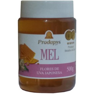 Mel Flores de Uva Japonesa 500g