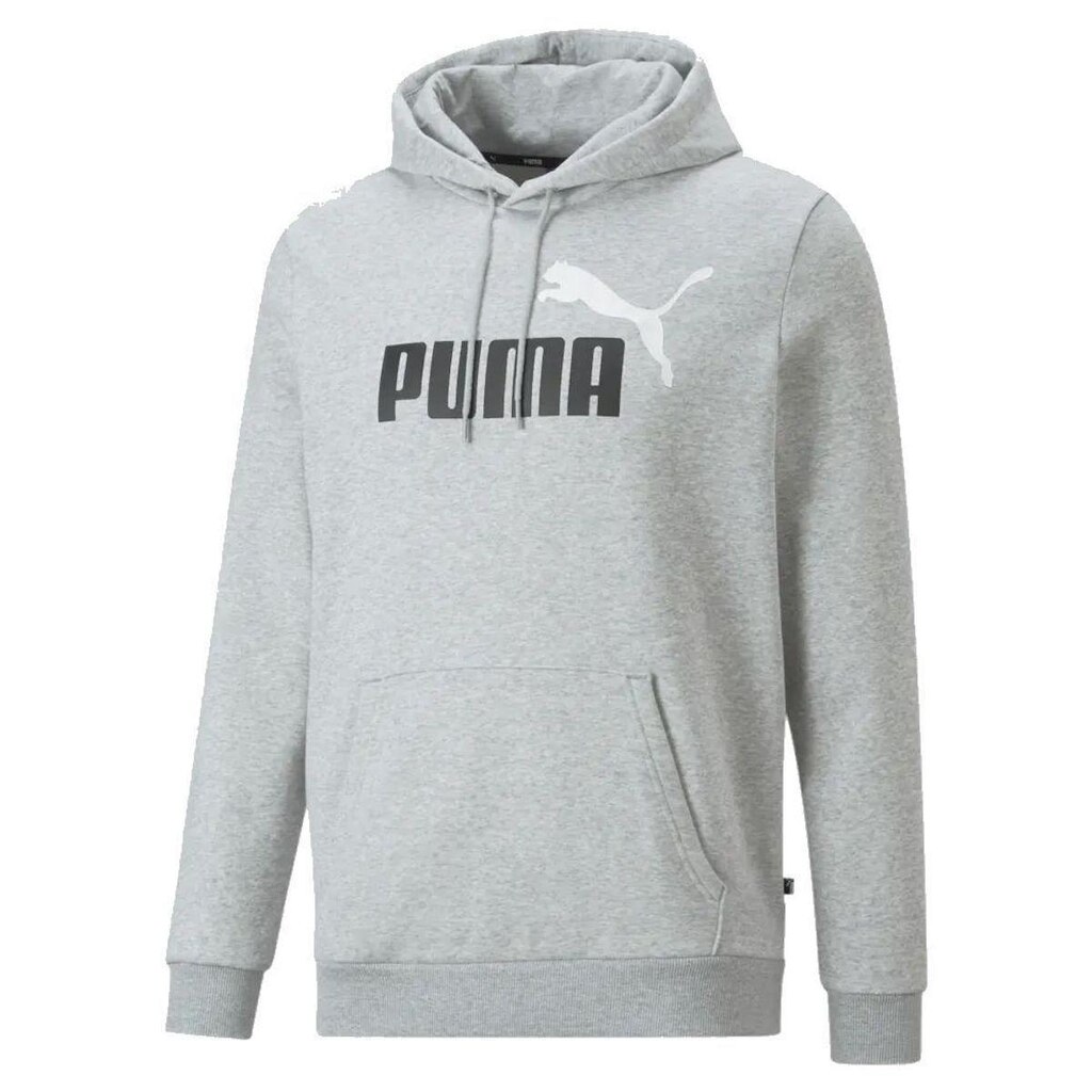 MOLETOM ESS PLUS TONE BIG LOGO 586764-04 - CINZA CLARO/CINZA 2GG