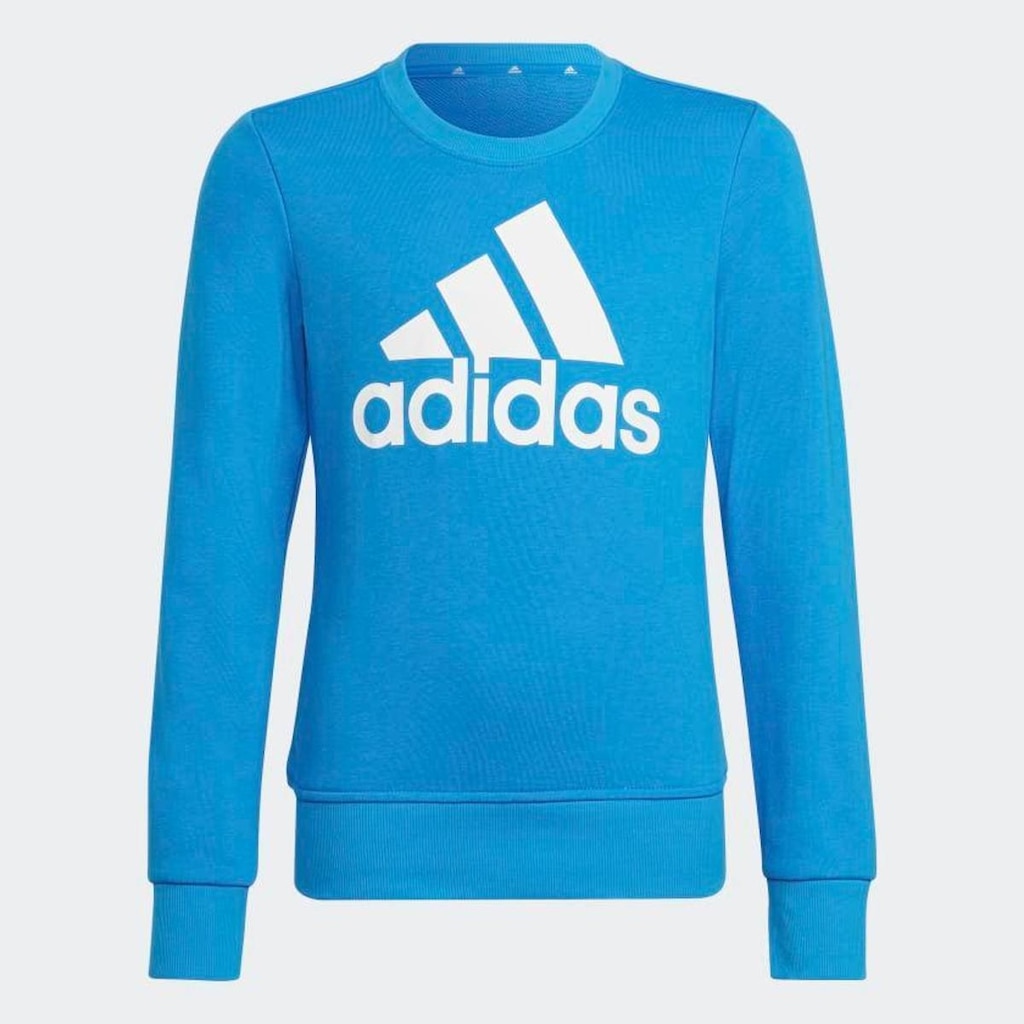 Moletom Essentials - adidas HG1098