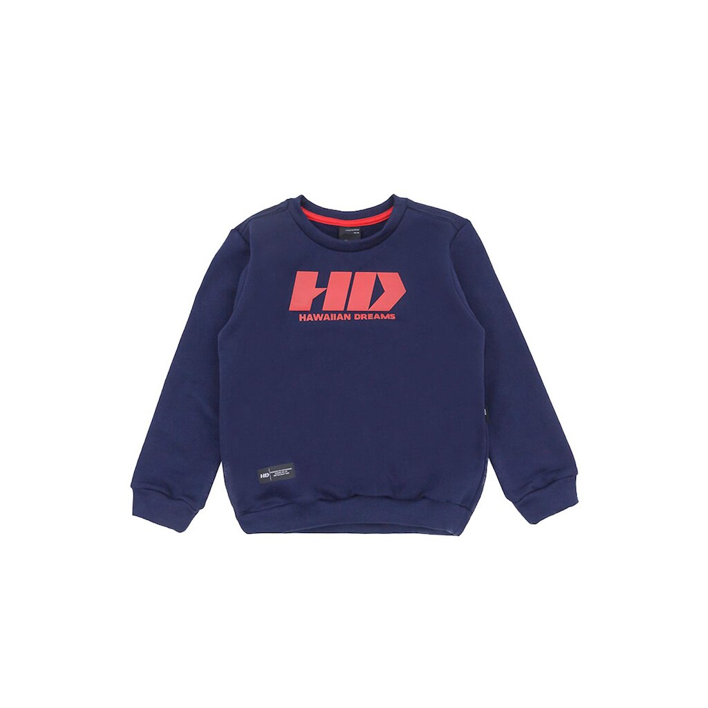 Moletom Infantil HD Estampada 9963A Masculino