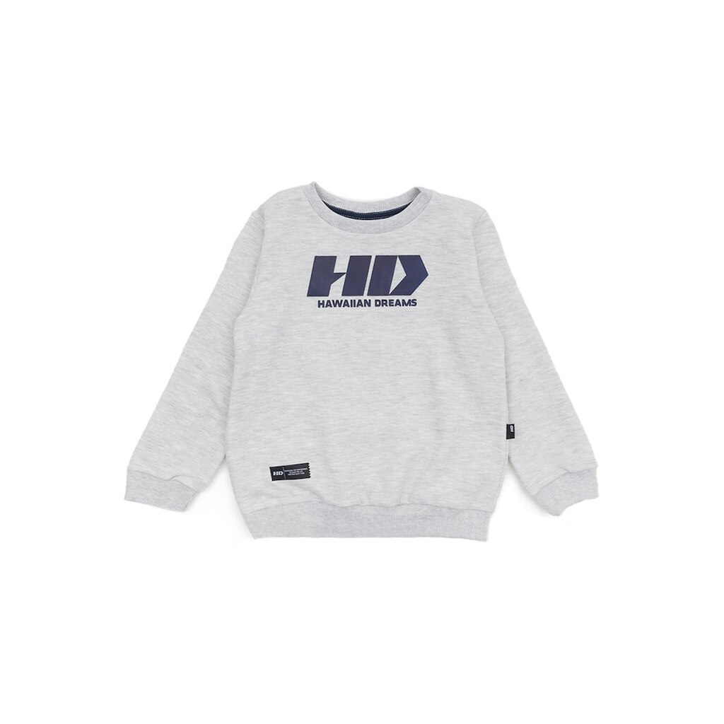 Moletom Infantil HD Estampada 9963A Masculino