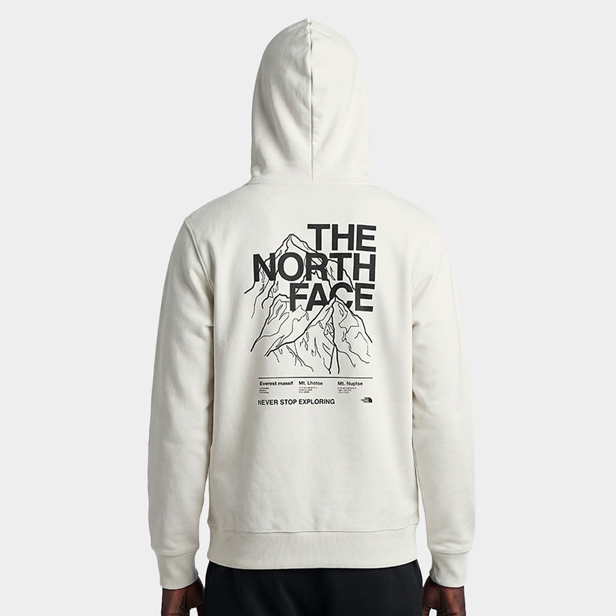 Moletom The Nort Face Evolution Half Dome MTN - 1