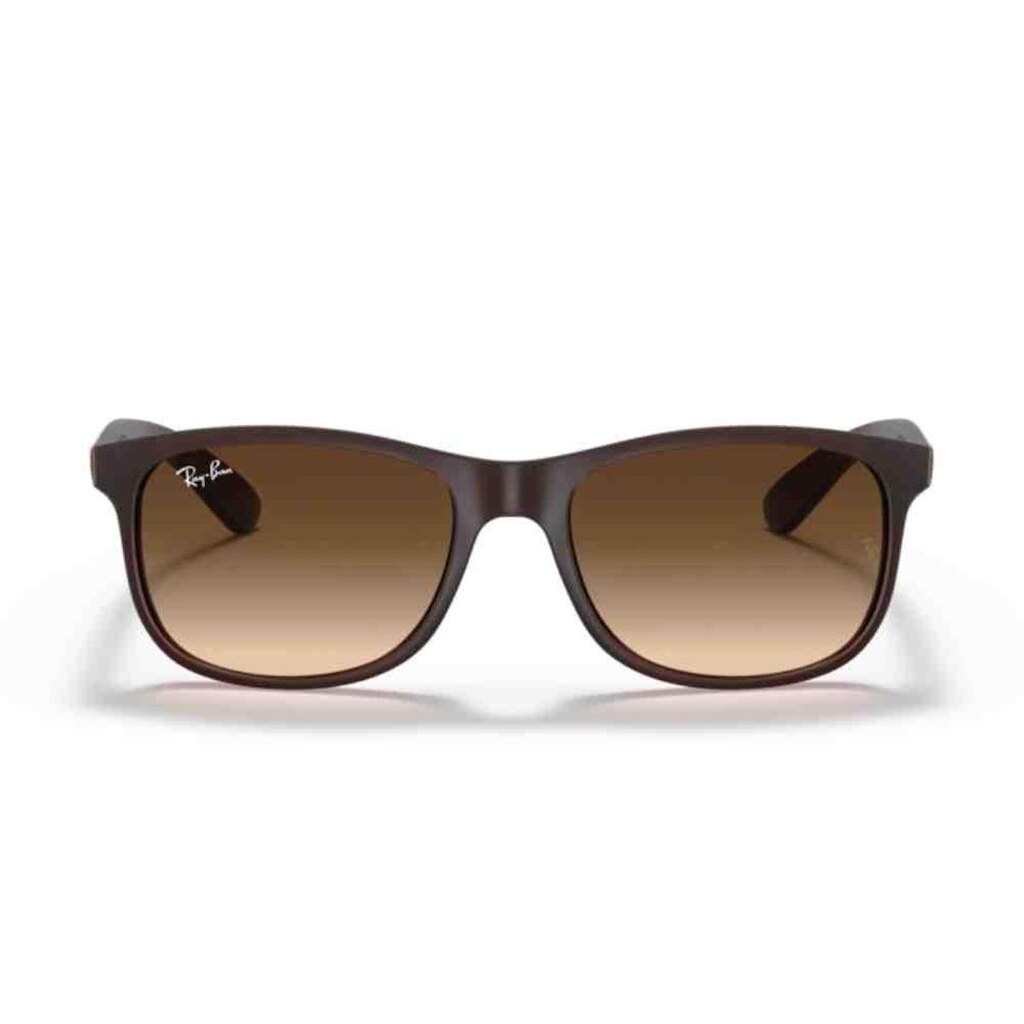 Óculos de Sol Ray-Ban Andy Marrom 0RB4202 60731355