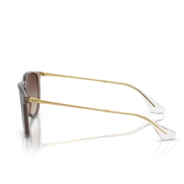 Óculos de Sol Ray-Ban Erika Marrom 0RB4171 67441354