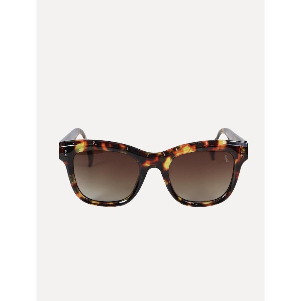 Óculos Reserva de Sol Masculino Groove Tortoise