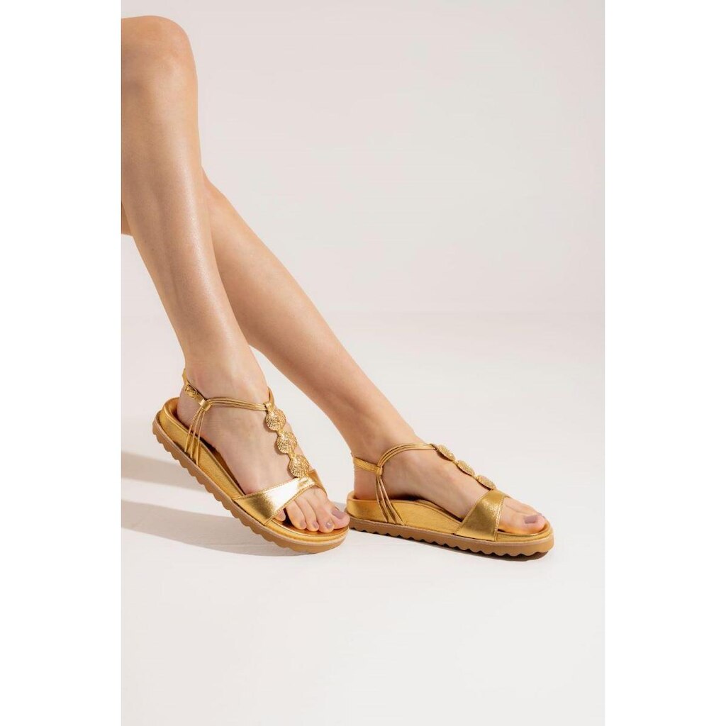Papete em Soft Feminina Conchas Cecconello