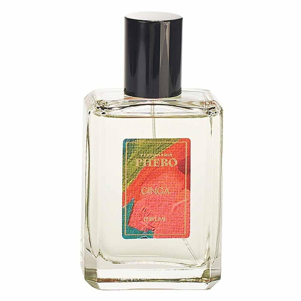 Perfume Ginga Phebo Unissex Eau de Parfum 100ml