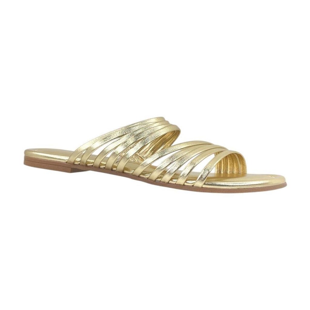 Rasterinha Vizzano 6371188