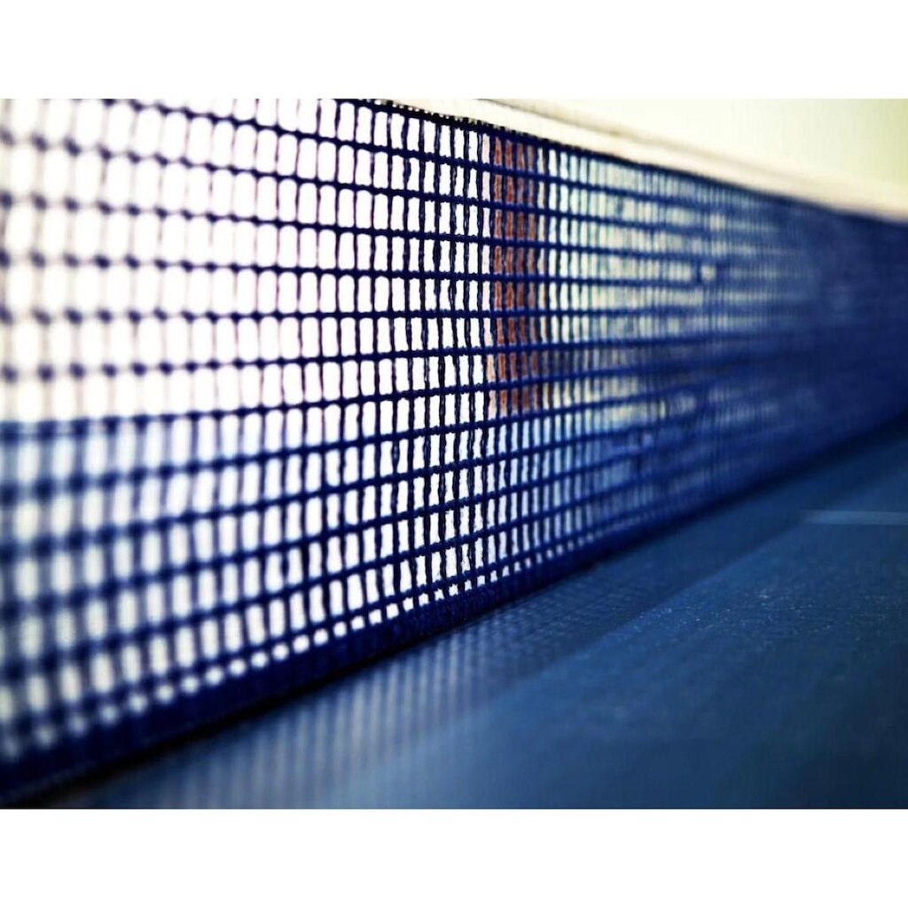 Rede Ping Pong Tenis de Mesa Oficial Master Rede RTM