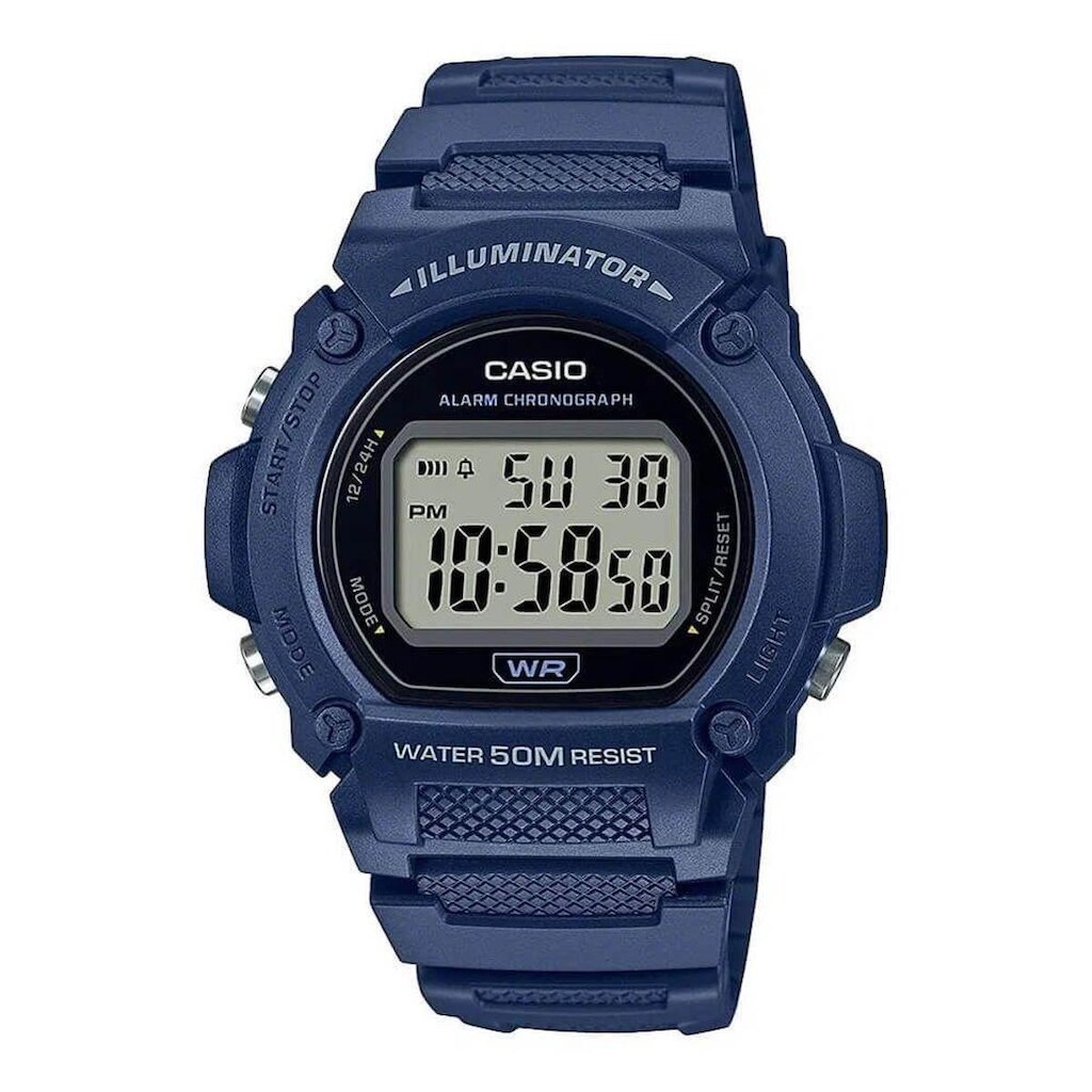 Relógio Casio Masculino Standard W-219H-2AVDF