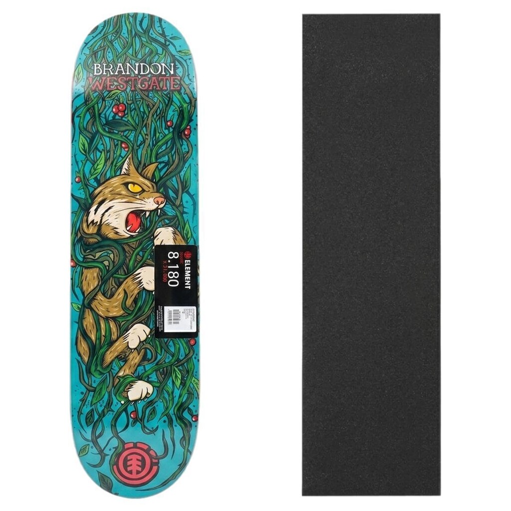 Shape Skate Element Maple Original 8.18 Com Lixa