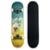Skate Completo Primitive Maple Arrengment 8.0 - Colorido
