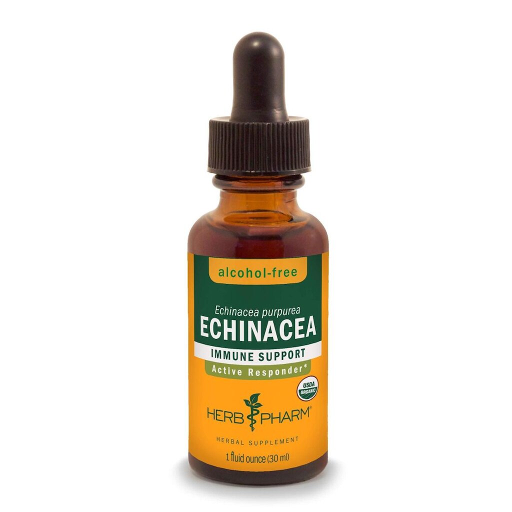 Suplemento Herb Pharm Organic Echinacea Root 30 Ml De Álcool-Fr
