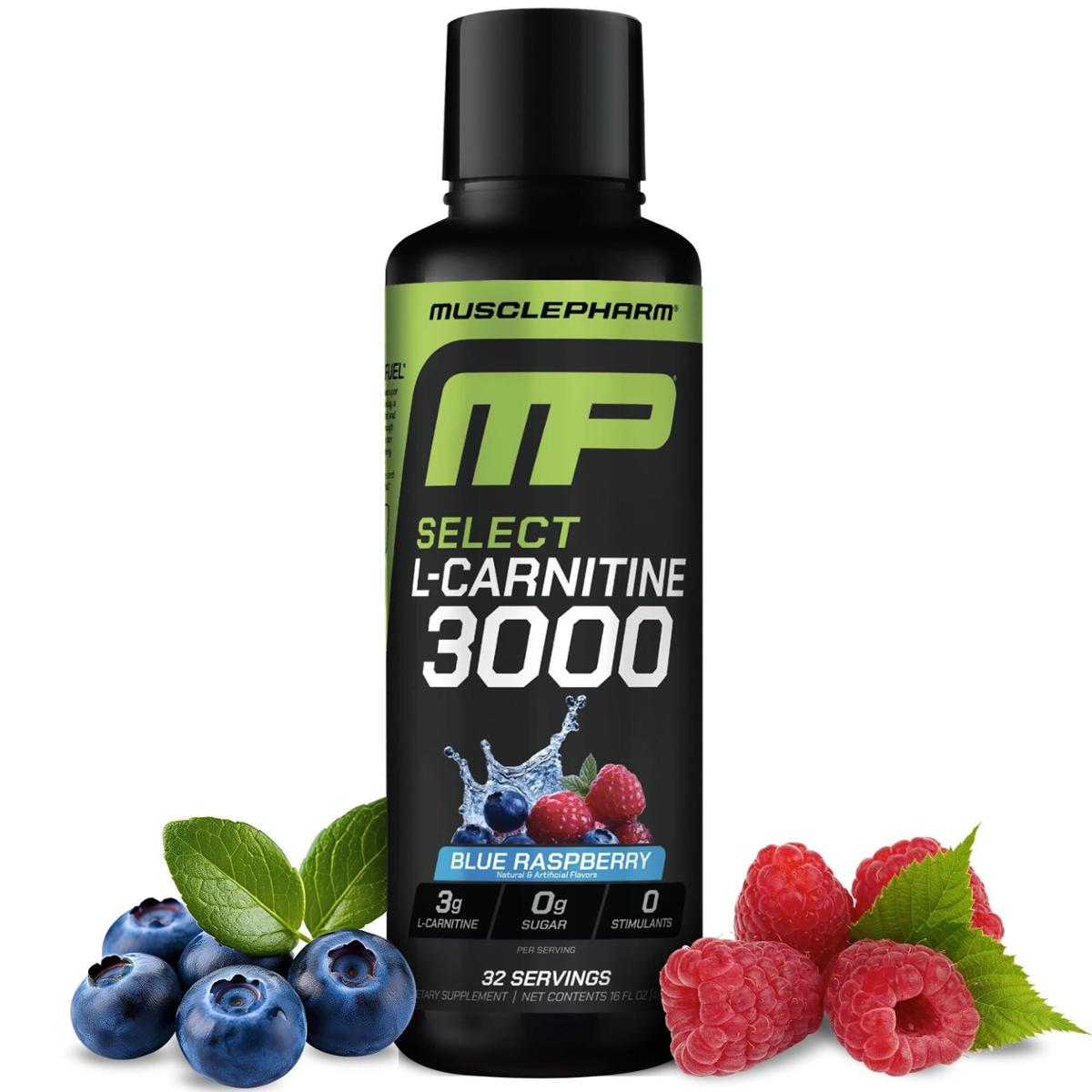 l carnitine help anxiety What Supplements Can Help with Mental Health and Anxiety?  Bespoke Biotics