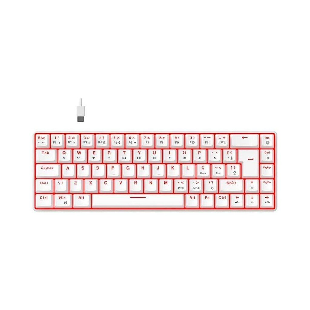 Teclado Mecânico Gamer Hyrax Thunder Pro Switch Huano LED Layout 65%, USB-C, ABNT2, HCK65W-BROWN-LED