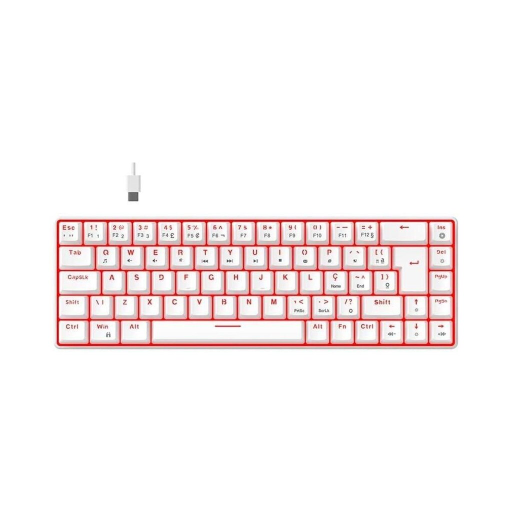 Teclado Mecânico Gamer Hyrax Thunder Pro, Switch Huano ,LED , Layout 65%, USB-C, ABNT2