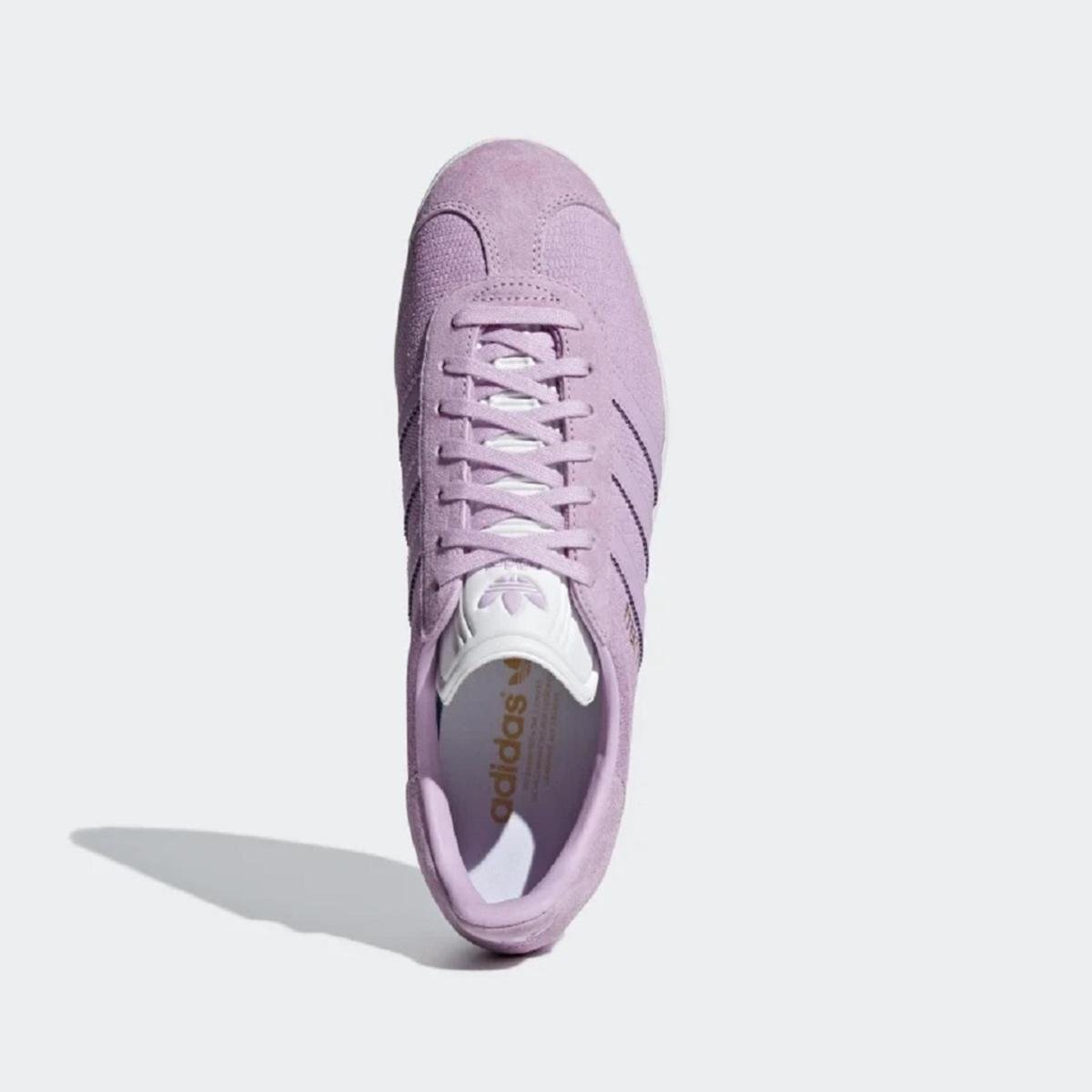 gazelle feminino