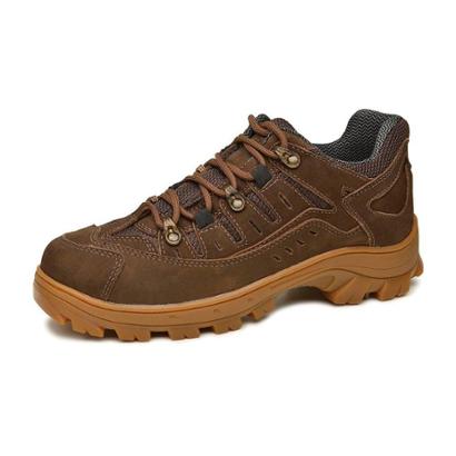 Tênis Adventure Pampas Richard Rasmussen - 16100 - Militar - Marrom ...