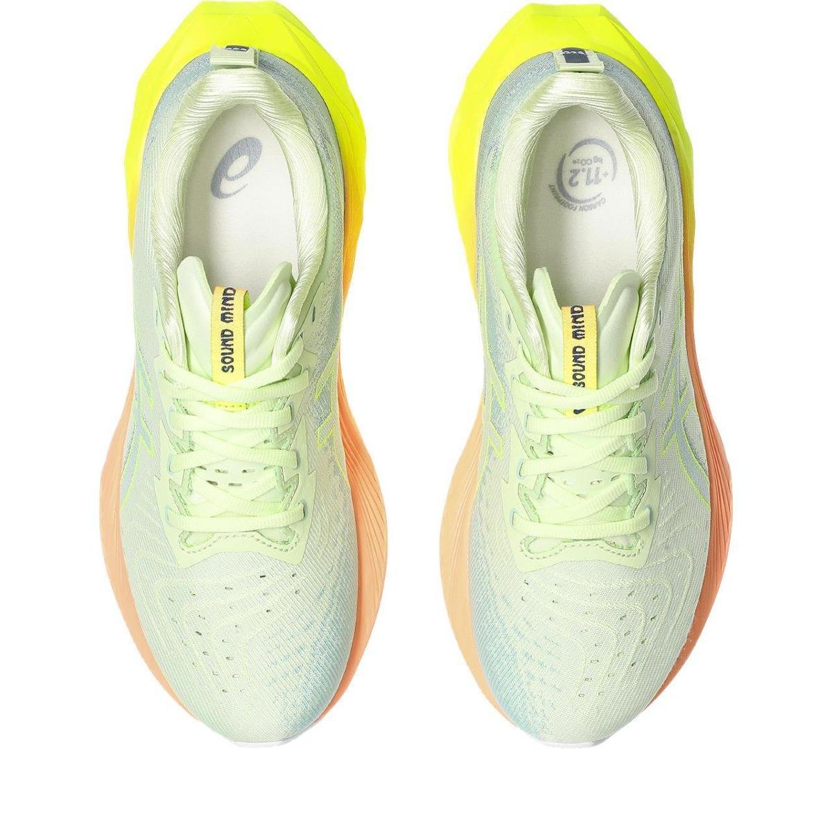 Tênis ASICS Novablast 4 Paris - Feminino - Cinza com Verde e