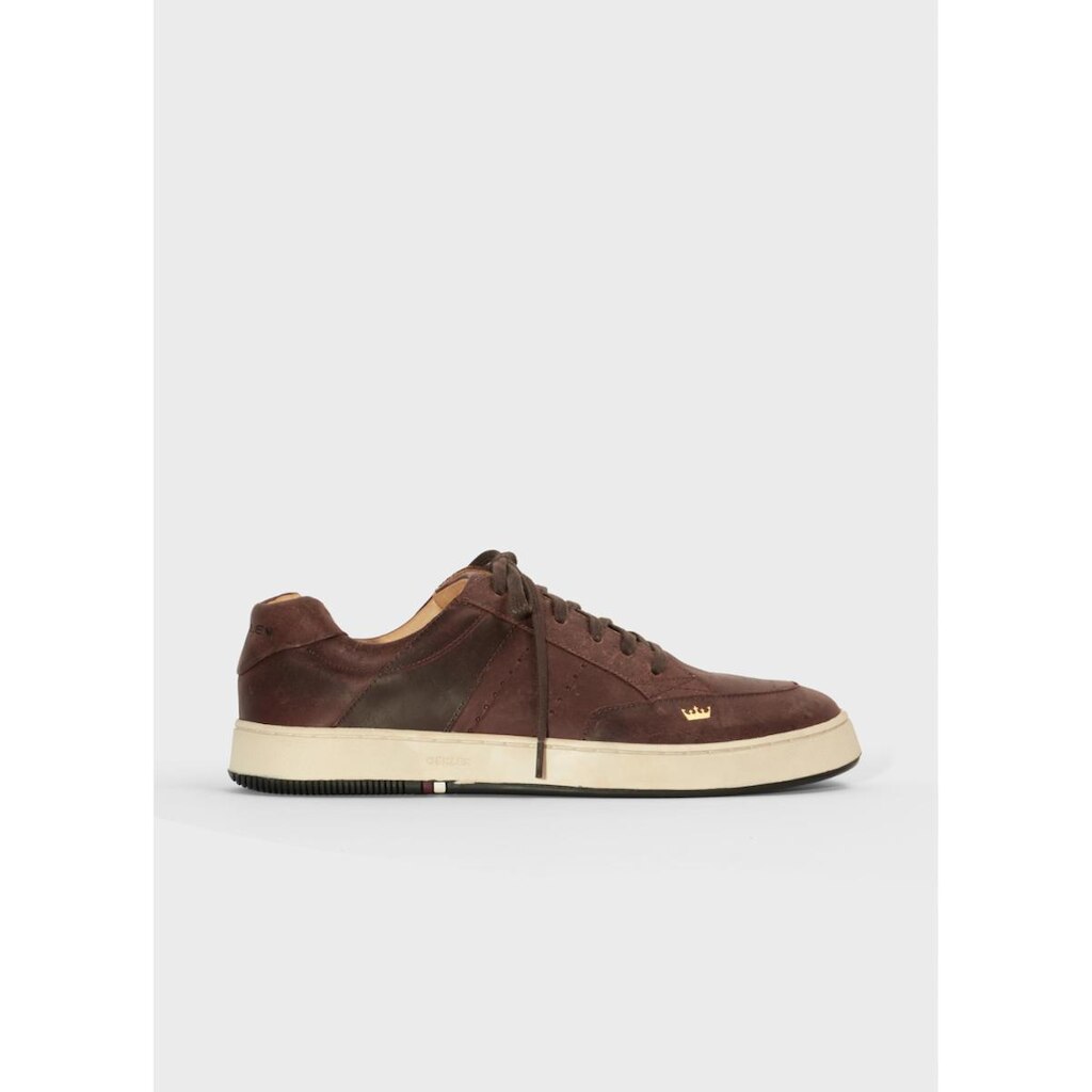 Tenis soho bold