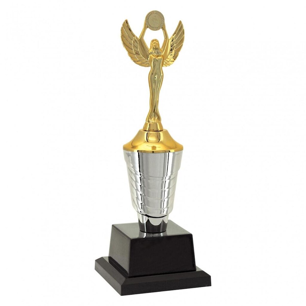 Troféu Vitoria Honra ao Mérito 501393